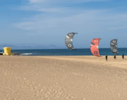 Duotone Neo SLS Kiteboarding Kite 2022 -Best Surf Discount Screen Shot 2021 10 18 at 3 44 00 PM